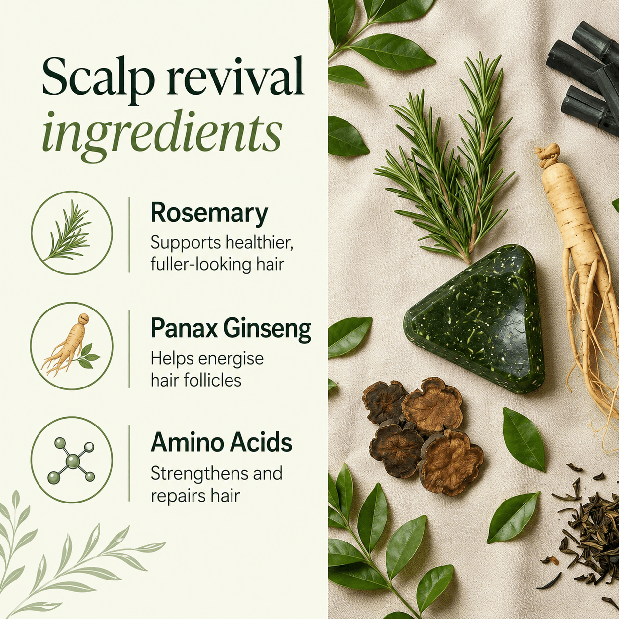 Silkara™ Rosemary Hair Growth Essentials Bundle